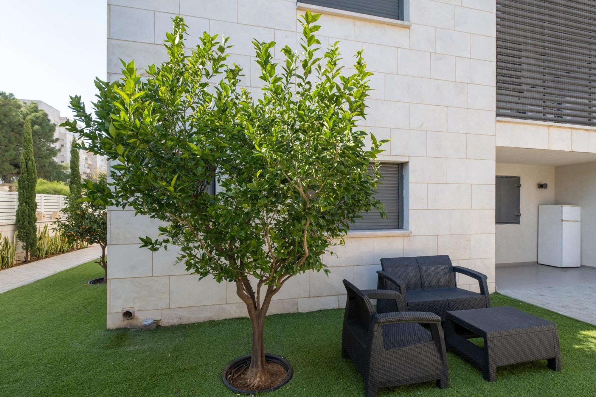 Balfour Sea View City Center Nahariya Extérieur photo